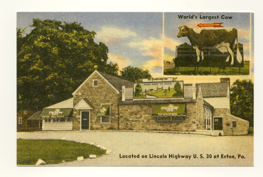 cow_linenpostcard