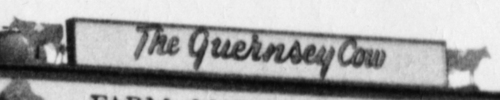 Twin Guernseys stand watch.