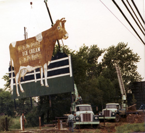 The Guernsey Cow sign rises into the air