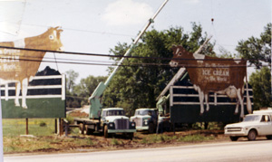 The Cow Signs Start To Settle In